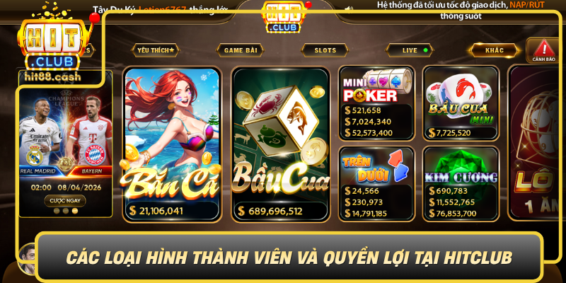 Cac Loai Hinh Thanh Vien Va Quyen Loi Tai Hitclub0